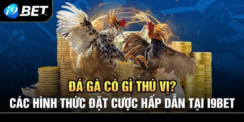 Hướng dẫn cách tham gia chơi đá gà i9bet siêu nhanh